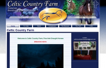 t3dwebsite69