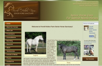 t3dwebsite76