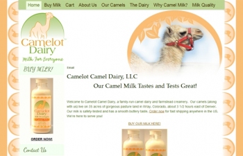 t3dwebsite82