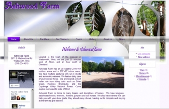t3dwebsite86