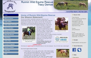 t3dwebsite90