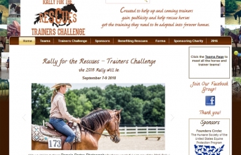 t3dwebsite91